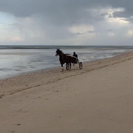 Gites " Arromanches" Ou "Bord De Mer Pmr" 2 Chambres En Front De Mer A Asnelles , 3Km D'Arromanches, 10Km De Bayeux ภายนอก รูปภาพ